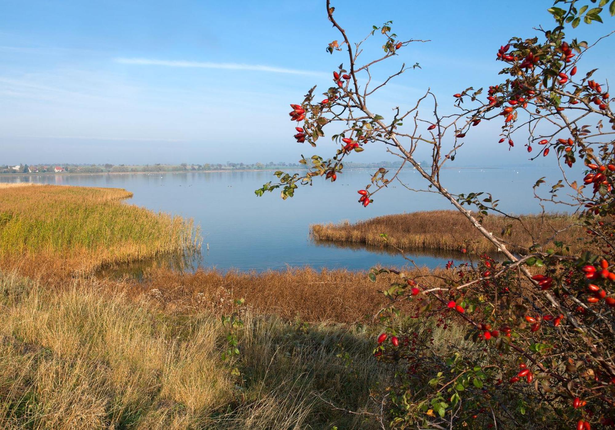 Appartements Am Reiterhof Klabautermann Insel Poel Bagian luar foto