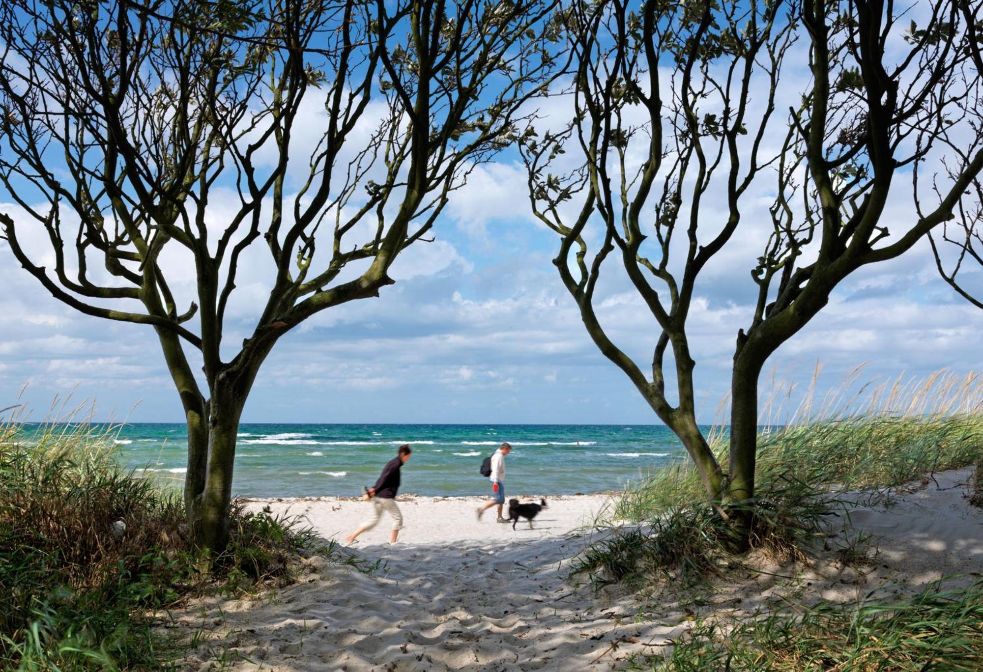 Appartements Am Reiterhof Klabautermann Insel Poel Bagian luar foto