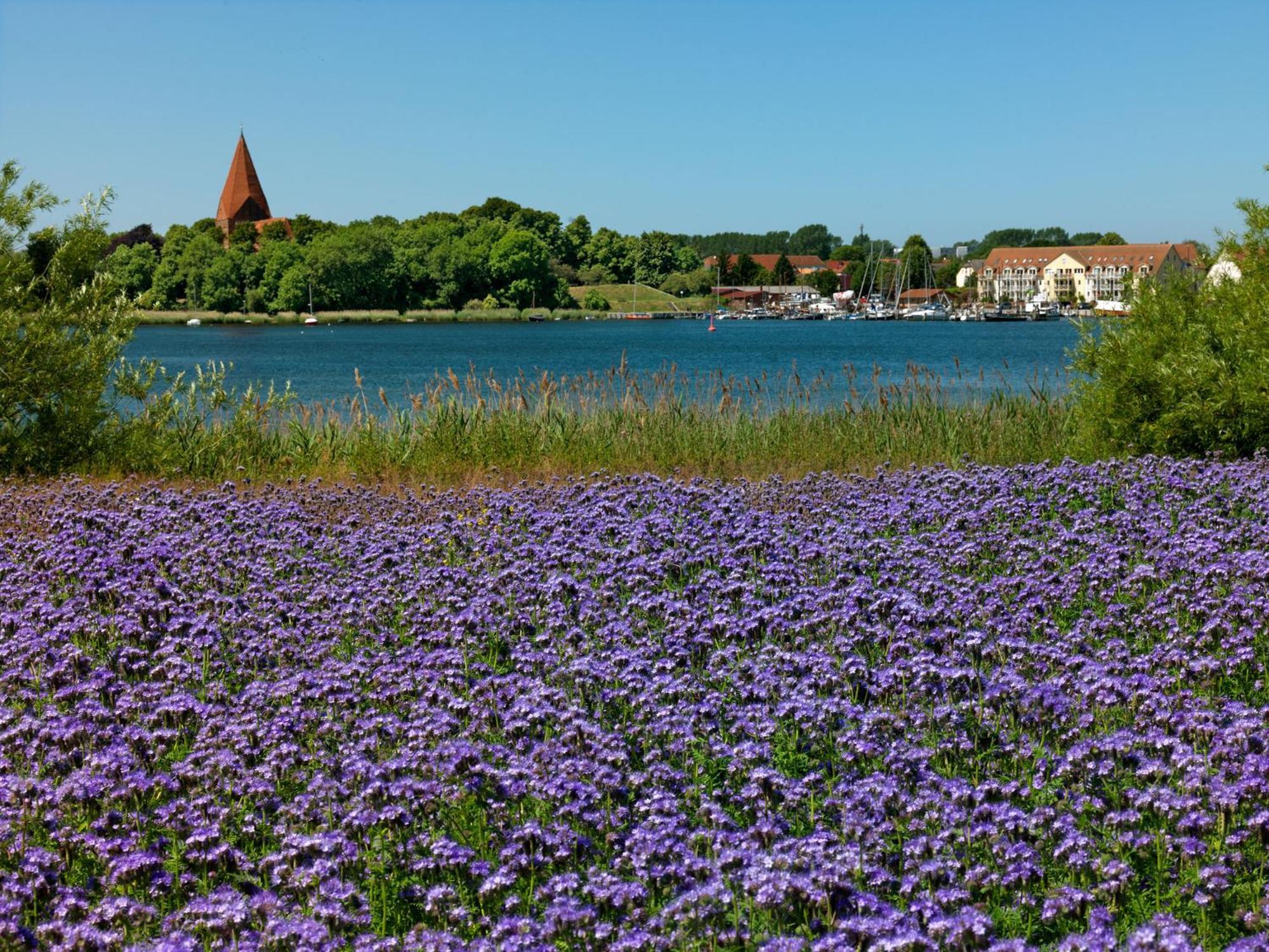 Appartements Am Reiterhof Klabautermann Insel Poel Bagian luar foto